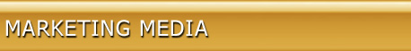terms and conditions header