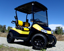 custom ez-go golf cart
